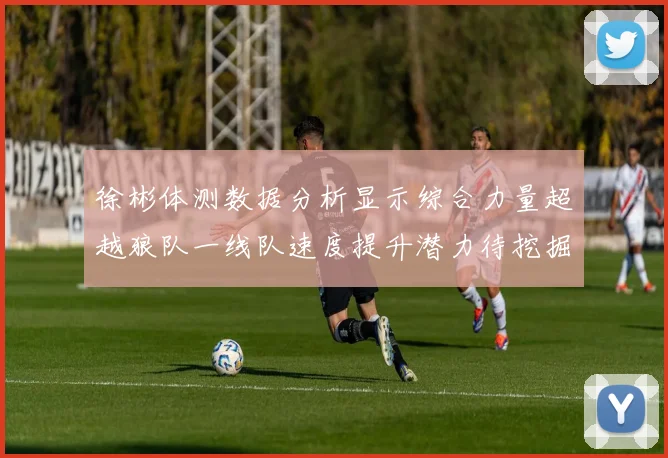 徐彬体测数据分析显示综合力量超越狼队一线队速度提升潜力待挖掘