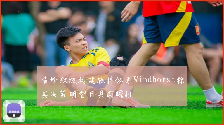 黄蜂积极构建独特体系Windhorst称其决策明智且具前瞻性